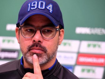 Muss vor dem Spiel gegen Düsseldorf die Abwehrprobleme der Schalker lösen: Trainer David Wagner. Foto: Stefan Puchner/dpa Muss vor dem Spiel gegen Düsseldorf die Abwehrprobleme der Schalker lösen: Trainer David Wagner. Foto: Stefan Puchner/dpa