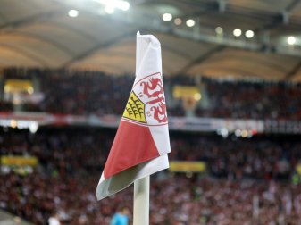VfB bekommt womöglich ein Präsidenten-Doppel VfB bekommt womöglich ein Präsidenten-Doppel