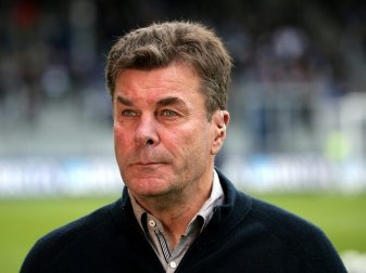Knieprobleme bei HSV-Trainer Dieter Hecking Knieprobleme bei HSV-Trainer Dieter Hecking