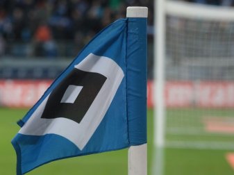 HSV macht Minus von acht Millionen Euro HSV macht Minus von acht Millionen Euro