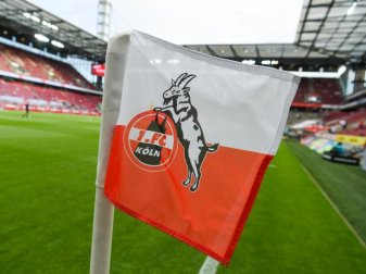 Die Trainersuche beim Fußball-Bundesligisten 1. FC Köln dauert an. Foto: Christophe Gateau/dpa Die Trainersuche beim Fußball-Bundesligisten 1. FC Köln dauert an. Foto: Christophe Gateau/dpa