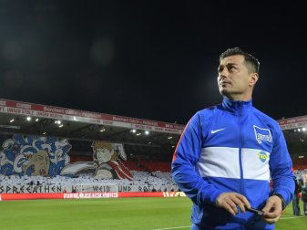 Hertha-Trainer Covic kämpft um Job. Hertha-Trainer Covic kämpft um Job.