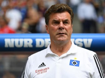 Gibt den Mahner: HSV-Coach Dieter Hecking. Foto: Carmen Jaspersen/dpa Gibt den Mahner: HSV-Coach Dieter Hecking. Foto: Carmen Jaspersen/dpa