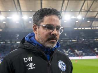 Trainer David Wagner steht mit dem FC Schalke 04 gut da. Foto: Bernd Thissen/dpa Trainer David Wagner steht mit dem FC Schalke 04 gut da. Foto: Bernd Thissen/dpa