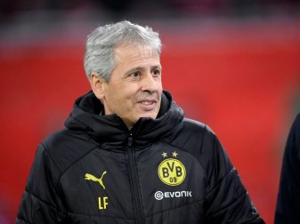 Favre sieht großes Potential in seiner Mannschaft Favre sieht großes Potential in seiner Mannschaft
