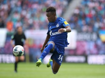 Rabbi Matondo mit Titelambitionen Rabbi Matondo mit Titelambitionen
