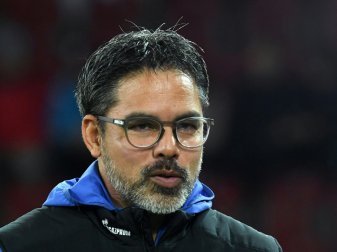 David Wagner bezeichnet die Fans als Vorbild David Wagner bezeichnet die Fans als Vorbild