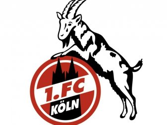 Youngsters bei Köln geben Debüt Youngsters bei Köln geben Debüt