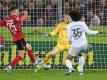 Traf gleich in seinem ersten Bundesligaspiel ins gegnerische Tor: Bayerns Joshua Zirkzee. Foto: Patrick Seeger/dpa