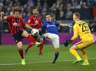Schalke und Freiburg teilten sich die Punkte Schalke und Freiburg teilten sich die Punkte
