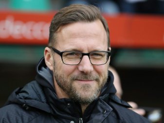 Sascha Hildmann ist neuer Trainer in Münster Sascha Hildmann ist neuer Trainer in Münster