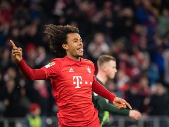 Joshua Zirkzee startete beim FC Bayern München durch. Foto: Matthias Balk/dpa Joshua Zirkzee startete beim FC Bayern München durch. Foto: Matthias Balk/dpa