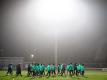 Die Mannschaft des SV Werder Bremen beim Trainingsauftakt. Foto: Sina Schuldt/dpa