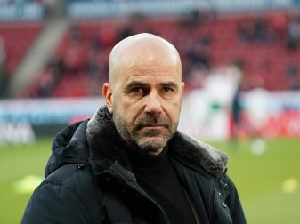 Soll seinen Vertrag in Leverkusen verlängern: Trainer Peter Bosz. Foto: Thomas Frey/dpa