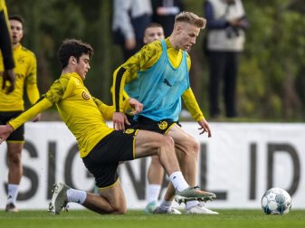 Giovanni Reyna (l.) kämpft im Trainingslager mit Chris Führich um den Ball. Foto: David Inderlied/dpa Giovanni Reyna (l.) kämpft im Trainingslager mit Chris Führich um den Ball. Foto: David Inderlied/dpa