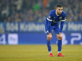 Steht vor einer Rückkehr auf die Insel: Nabil Bentaleb Steht vor einer Rückkehr auf die Insel: Nabil Bentaleb