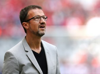 Fredi Bobic trauert der "Büffelherde" nicht hinterher Fredi Bobic trauert der "Büffelherde" nicht hinterher