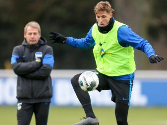 Könnte von Hertha-Trainer Jürgen Klinsmann wieder in der Startelf aufgeboten werden: Niklas Stark. Foto: Andreas Gora/dpa Könnte von Hertha-Trainer Jürgen Klinsmann wieder in der Startelf aufgeboten werden: Niklas Stark. Foto: Andreas Gora/dpa