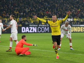 Doppelpack Haaland: BVB gewinnt souverän gegen Köln Doppelpack Haaland: BVB gewinnt souverän gegen Köln