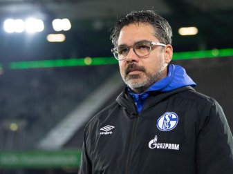 Will mit Schalke die magere Bilanz gegen die Bayern aufbessern: Trainer David Wagner. Foto: Swen Pförtner/dpa Will mit Schalke die magere Bilanz gegen die Bayern aufbessern: Trainer David Wagner. Foto: Swen Pförtner/dpa