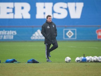 Dieter Hecking könnte sich auch den Job als Bundestrainer vorstellen. Foto: Daniel Reinhardt/dpa Dieter Hecking könnte sich auch den Job als Bundestrainer vorstellen. Foto: Daniel Reinhardt/dpa