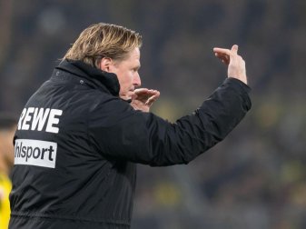 Agiert mit hartem Kinn und Mut: Kölns Trainer Markus Gisdol gestikuliert. Foto: Bernd Thissen/dpa Agiert mit hartem Kinn und Mut: Kölns Trainer Markus Gisdol gestikuliert. Foto: Bernd Thissen/dpa