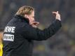 Agiert mit hartem Kinn und Mut: Kölns Trainer Markus Gisdol gestikuliert. Foto: Bernd Thissen/dpa