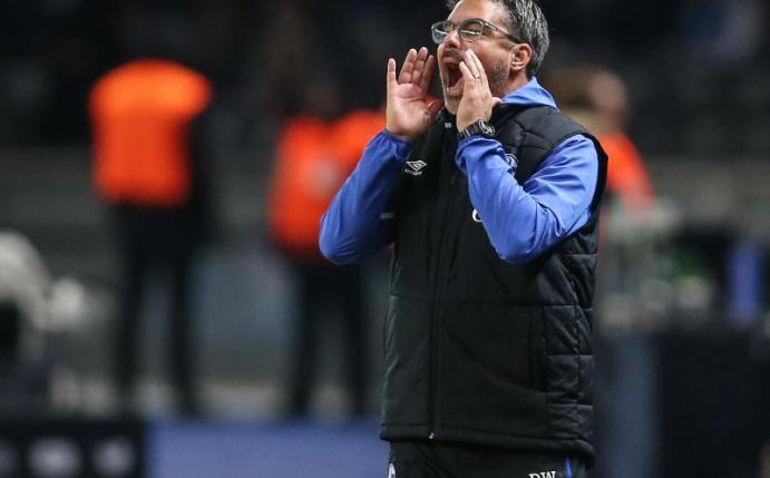 Findet das neue Regelwerk nicht gut: Schalke-Coach David Wagner. Foto: Andreas Gora/dpa