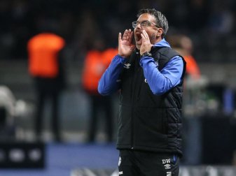 Findet das neue Regelwerk nicht gut: Schalke-Coach David Wagner. Foto: Andreas Gora/dpa Findet das neue Regelwerk nicht gut: Schalke-Coach David Wagner. Foto: Andreas Gora/dpa