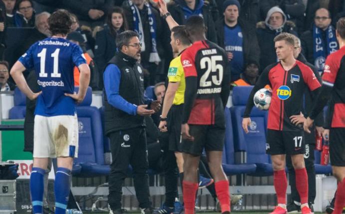 Wird nach seiner Roten Karte nicht gesperrt: Schalke-Coach David Wagner. Foto: Bernd Thissen/dpa