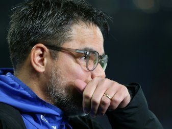 Personalprobleme für David Wagner und den FC Schalke 04