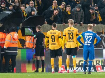 Schiedsrichter Michael Bacher erkannte nach Videobeweis das Tor zum 3:3 wieder ab. Foto: Robert Michael/dpa-Zentralbild/dpa Schiedsrichter Michael Bacher erkannte nach Videobeweis das Tor zum 3:3 wieder ab. Foto: Robert Michael/dpa-Zentralbild/dpa