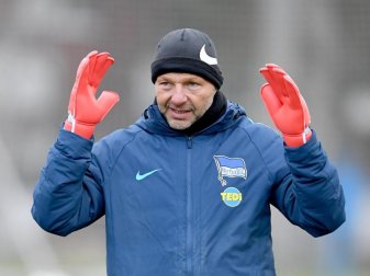 Zsolt Petry kehrt bei Hertha als Torwarttrainer zurück. Foto: Britta Pedersen/dpa-Zentralbild/dpa Zsolt Petry kehrt bei Hertha als Torwarttrainer zurück. Foto: Britta Pedersen/dpa-Zentralbild/dpa