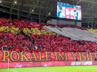RB Leipzig hat einer Analyse zufolge die drittgrößte Fan-Gemeinschaft in Deutschland. Foto: Jan Woitas/dpa-Zentralbild/dpa RB Leipzig hat einer Analyse zufolge die drittgrößte Fan-Gemeinschaft in Deutschland. Foto: Jan Woitas/dpa-Zentralbild/dpa