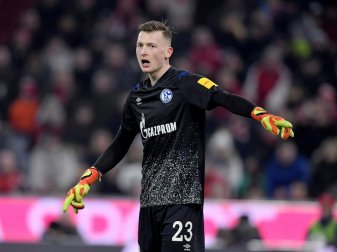 Markus Schubert gehört die Zukunft im Schalker Tor Markus Schubert gehört die Zukunft im Schalker Tor