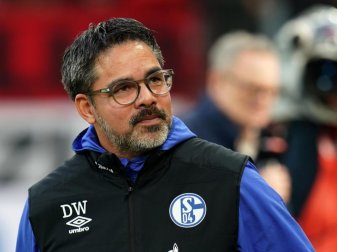 Schalke-Trainer David Wagner vor Spielbeginn. Foto: Thomas Frey/dpa Schalke-Trainer David Wagner vor Spielbeginn. Foto: Thomas Frey/dpa