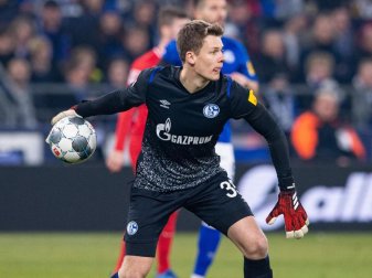 Bleibt nach dem Willen des Trainers im Schalke-Tor: Alexander Nübel. Foto: Guido Kirchner/dpa Bleibt nach dem Willen des Trainers im Schalke-Tor: Alexander Nübel. Foto: Guido Kirchner/dpa