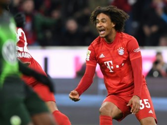 Zirkzee stürmt bei den Bayern Zirkzee stürmt bei den Bayern