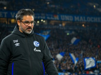 Nübel oder Schubert: Wagner will sich nicht festlegen Nübel oder Schubert: Wagner will sich nicht festlegen