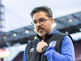 Trainer David Wagner muss sich Gedanken über die Torwartfrage machen. Foto: Marcel Kusch/dpa Trainer David Wagner muss sich Gedanken über die Torwartfrage machen. Foto: Marcel Kusch/dpa