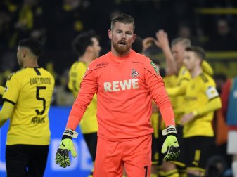 Der 1. FC Köln bangt um den Einsatz von Timo Horn Der 1. FC Köln bangt um den Einsatz von Timo Horn