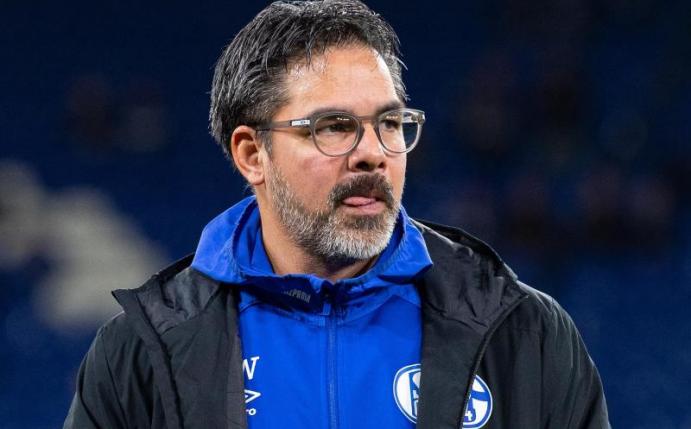 Mit Schalke unter Erfolgsdruck: Trainer David Wagner. Foto: Guido Kirchner/dpa