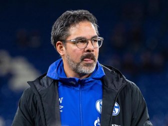 Mit Schalke unter Erfolgsdruck: Trainer David Wagner. Foto: Guido Kirchner/dpa Mit Schalke unter Erfolgsdruck: Trainer David Wagner. Foto: Guido Kirchner/dpa