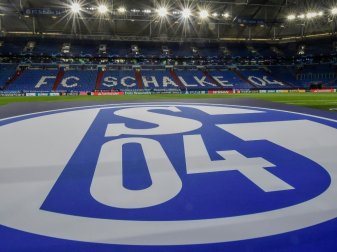 Die Schalke-Fans kritisierten den DFB