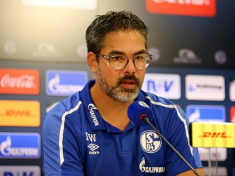 Schalke und Gladbach halten keine Pressekonferenzen ab Schalke und Gladbach halten keine Pressekonferenzen ab