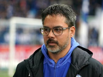 David Wagner wird sein Team in dieser Woche nicht sehen David Wagner wird sein Team in dieser Woche nicht sehen