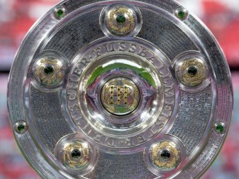 Die DFL hofft, dass der Spielbetrieb wieder im Mitte Mai aufgenommen werden kann. Foto: Sven Hoppe/dpa Die DFL hofft, dass der Spielbetrieb wieder im Mitte Mai aufgenommen werden kann. Foto: Sven Hoppe/dpa