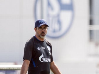 Schalke-Trainer David Wagner bringt die Spieler in deren eigenen Wänden zum Schwitzen. Foto: Bernd Thissen/dpa Schalke-Trainer David Wagner bringt die Spieler in deren eigenen Wänden zum Schwitzen. Foto: Bernd Thissen/dpa