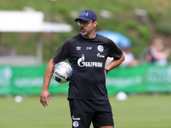Kann mit Kleingruppen wieder das Training aufnehmen: Schalke-Coach David Wagner. Foto: Tim Rehbein/dpa Kann mit Kleingruppen wieder das Training aufnehmen: Schalke-Coach David Wagner. Foto: Tim Rehbein/dpa