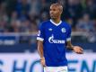 In der Bundesliga zuletzt im Schalke-Trikot: Ex-Werder-Profi Naldo. Foto: Guido Kirchner/dpa